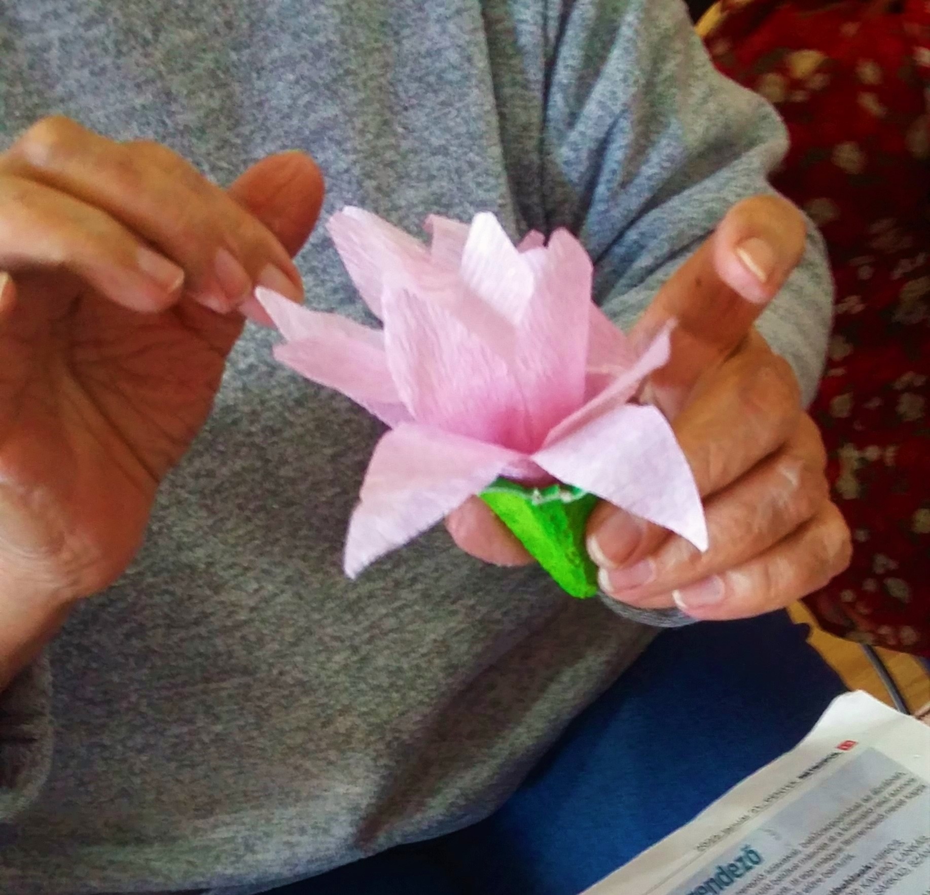 FOTÓ IDŐSEKNEK EGYÉNI 3